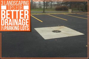 3 Landscaping Tips For Better Drainage In Parking Lots